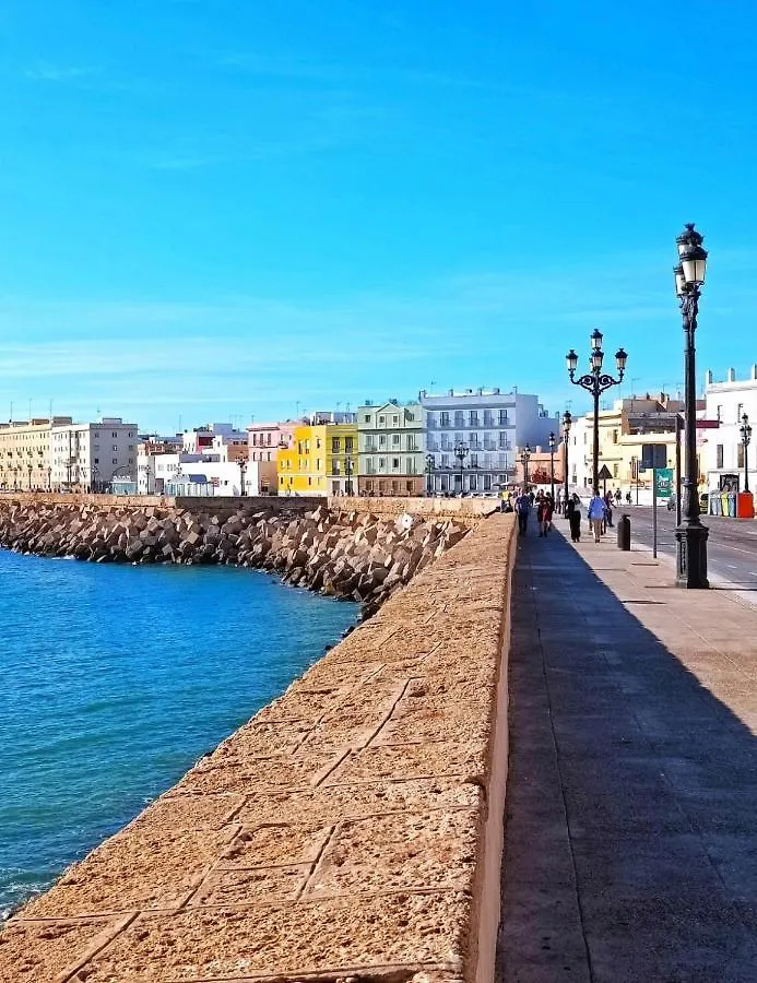 Botanico Playa Y Ascensor Grupo Ac Gestion Apartment Cadiz Spain